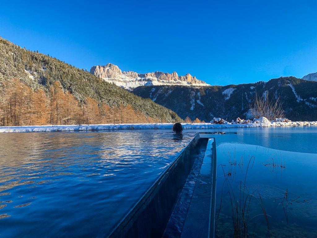 Ansitz Velseck-Residence Hotel Тирес Екстериор снимка